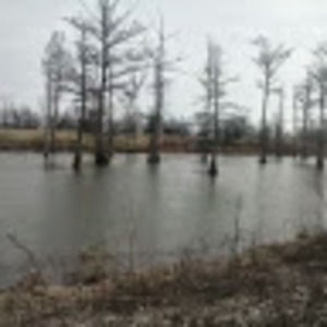 Meet your Posher, Beverly